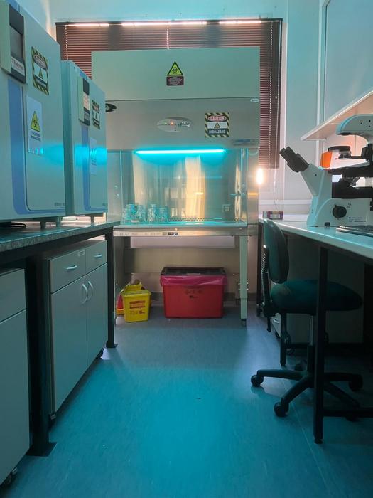 UCT, Glycobiomedical Laboratory