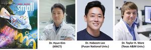 [Fig 3] Cover image in Small (published Feb. 2025) and the research team
