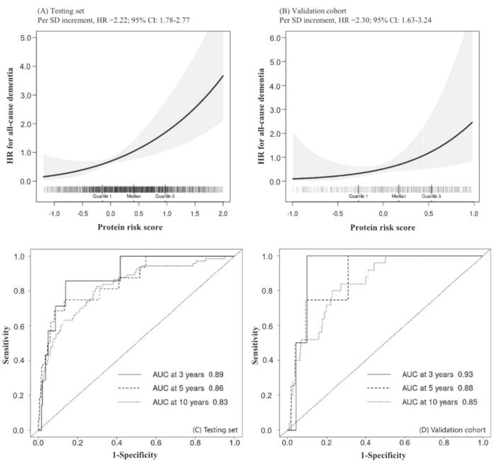 Association between dementia protein risk score and incident dementia among individuals with prediabetes ordiabetes in the testing and external validation sets.