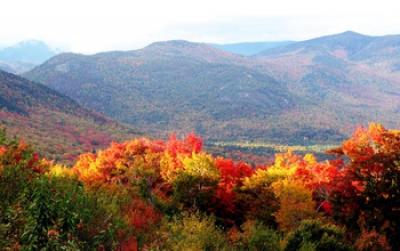 Northern Forests in New England