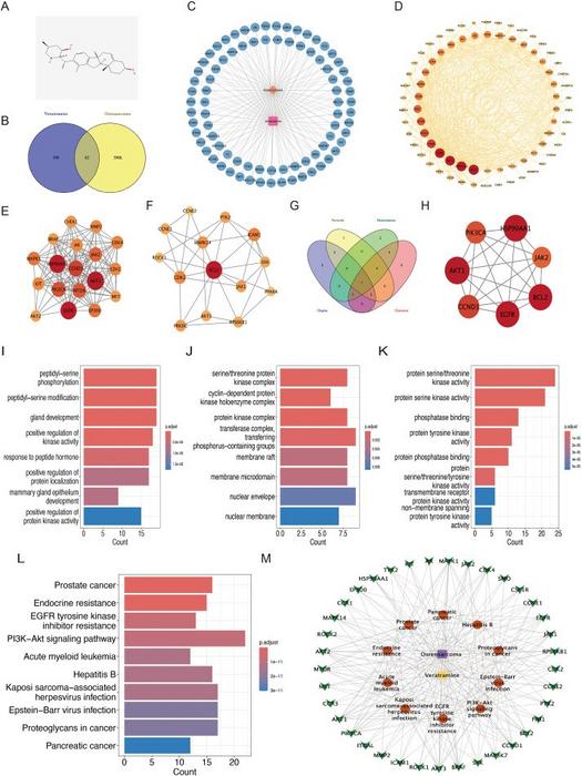 Analysis of the mechanism of veratramine on osteosarcoma based on network pharmacology.