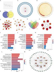 Analysis of the mechanism of veratramine on osteosarcoma based on network pharmacology.