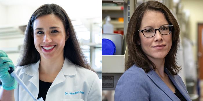 Neuroscientists