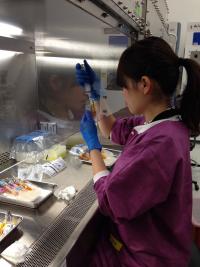 JAXA Researcher