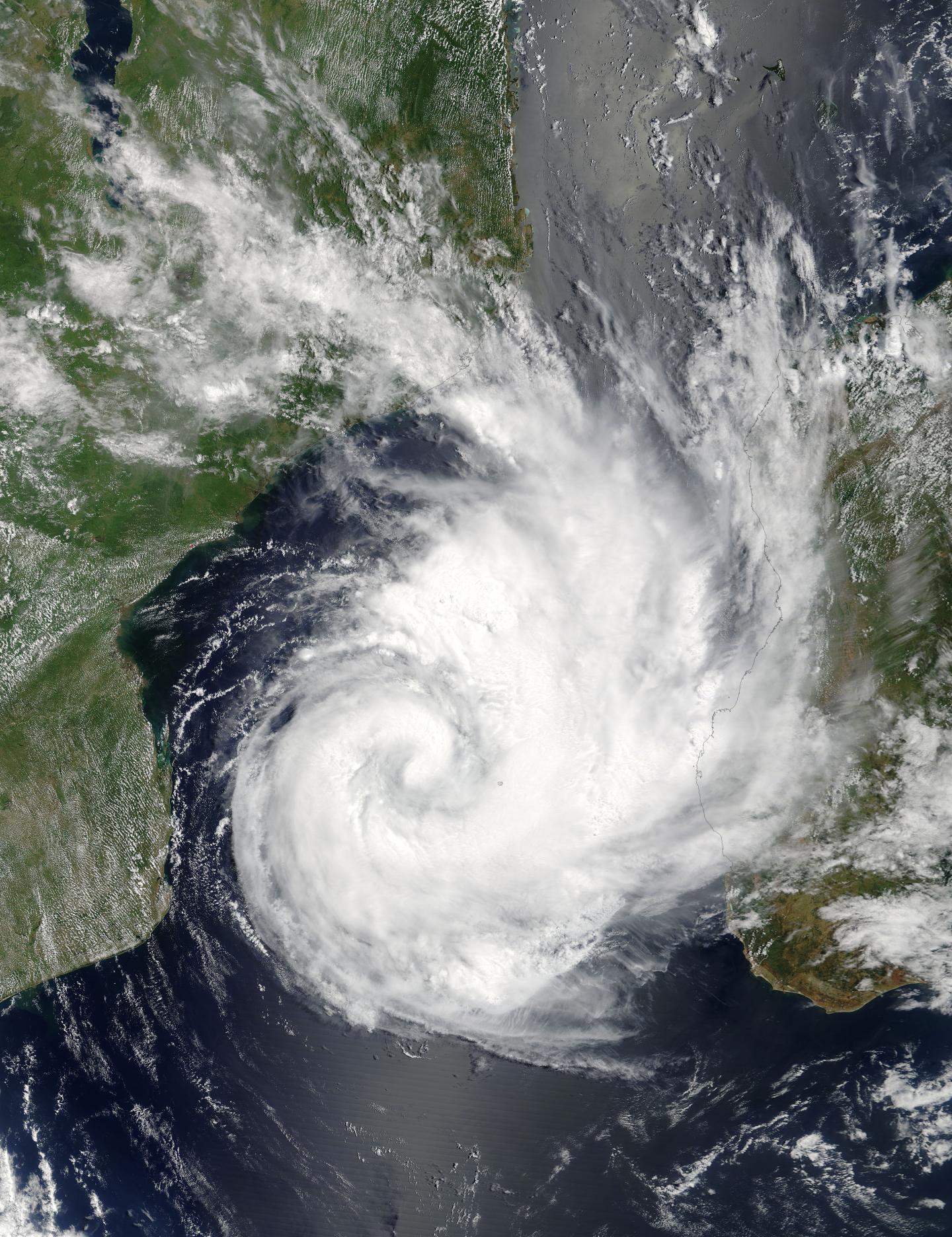 Terra Image of Dineo