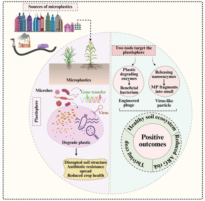 Soil microplastics hidden web: interaction of microbes and viruses as a frontier for sustainable ecosystem recovery