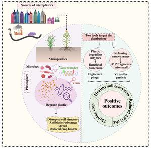 Soil microplastics hidden web: interaction of microbes and viruses as a frontier for sustainable ecosystem recovery