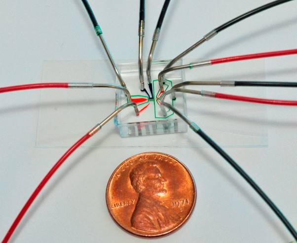 Chip for Capturing Phenotype Images