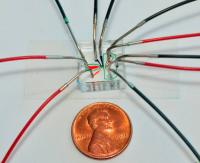 Chip for Capturing Phenotype Images