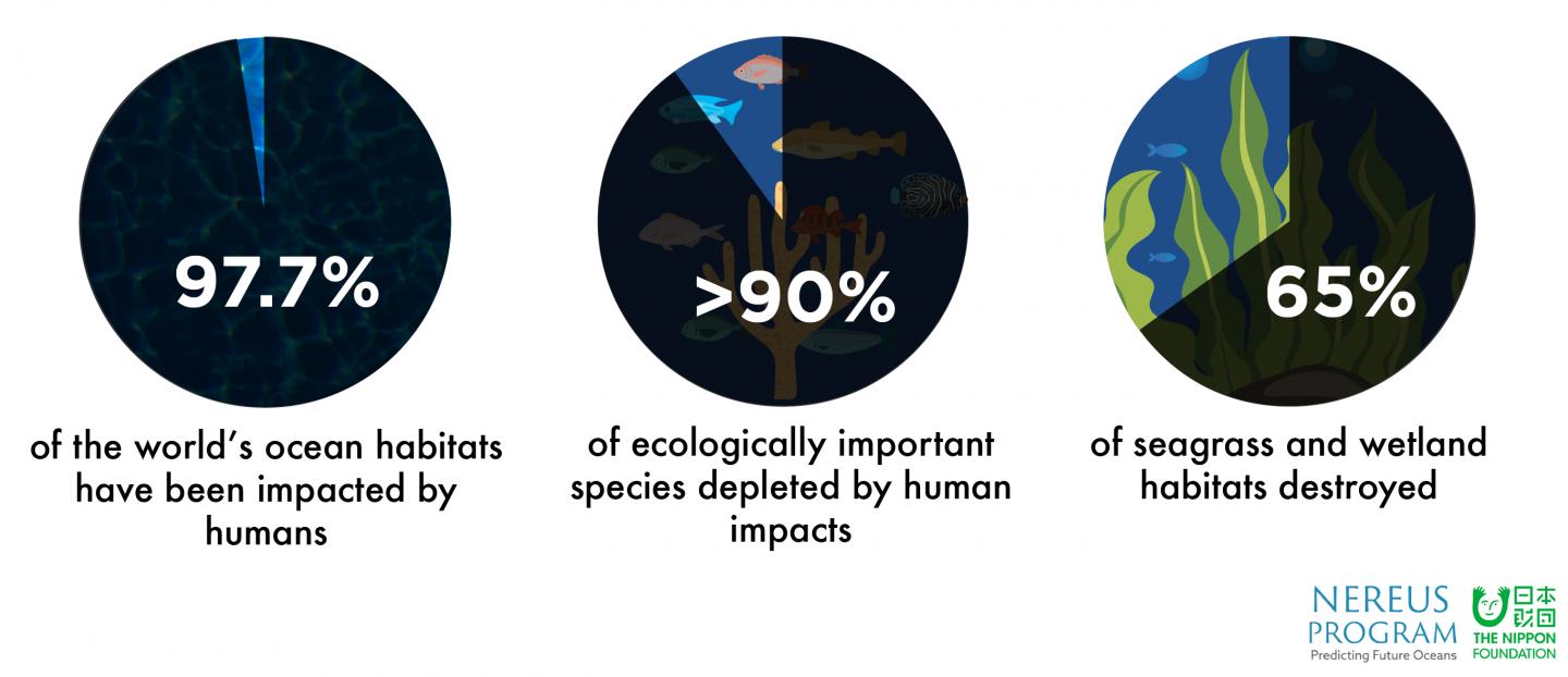 SDG report -- Target 2