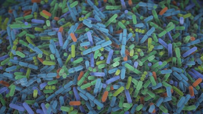 Gut Microbiome Linked to Bone Loss in Primary Hyperparathyroidism