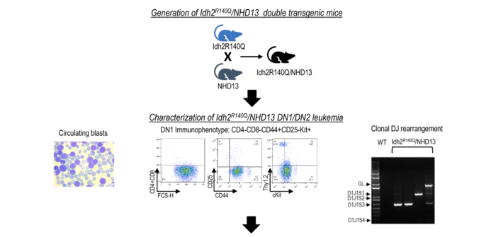 Figure 1 (truncated)