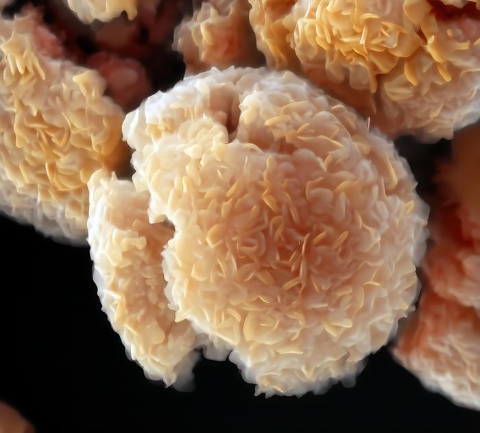 Research reinvents MXene synthesis