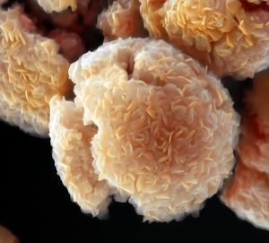 Research reinvents MXene synthesis