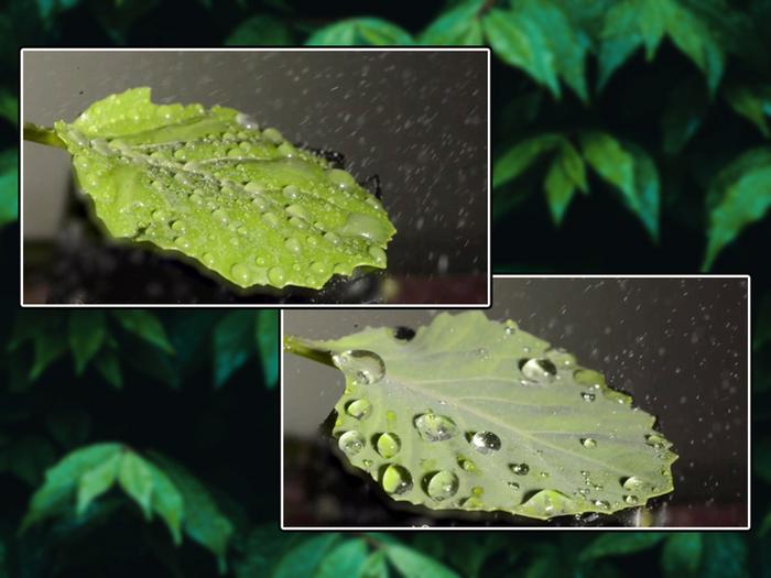 Coated Droplets 2