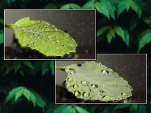 Coated Droplets 2