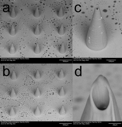 Hollow Microneedles
