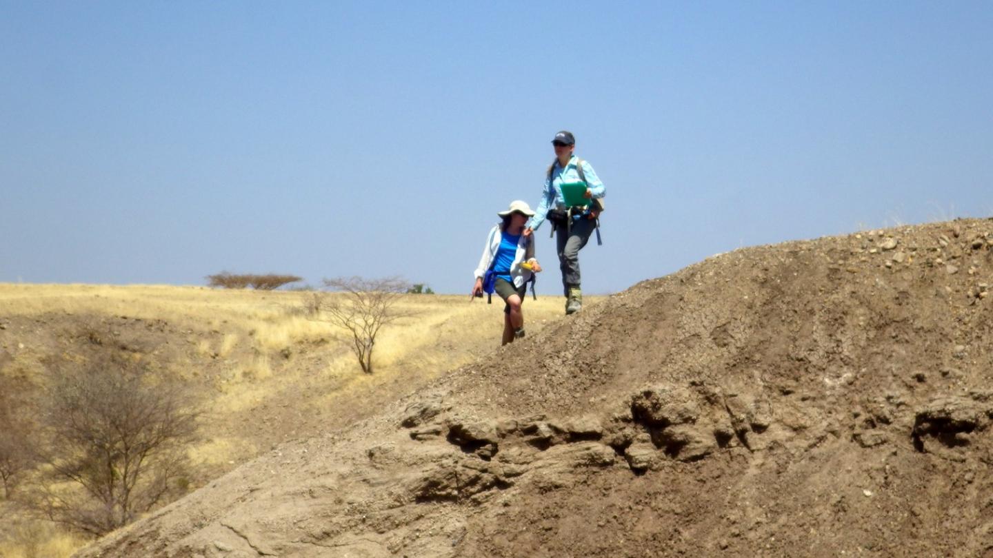 Digging Geology