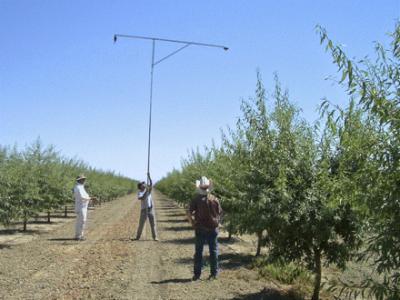 Measuring Canopy Cover