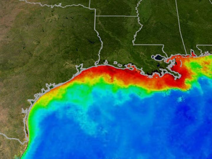 Tulane Announces Five Finalists for $1 million Dead Zone Challenge