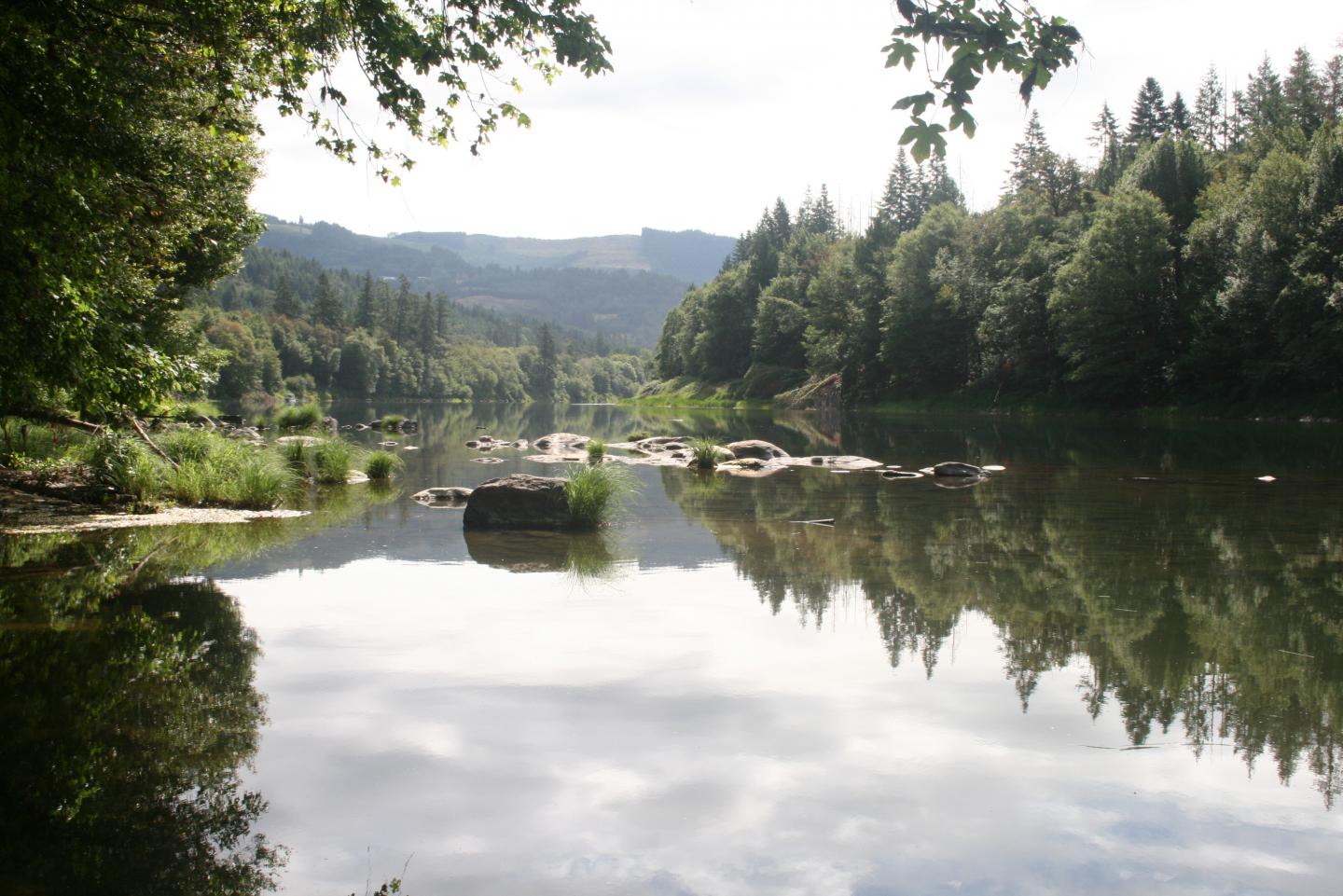 Umpqua River