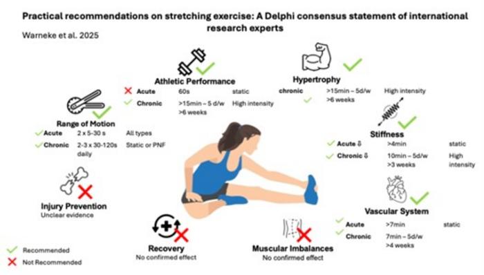 Delphi Consensus Stretching Recommendations for Healthy Populations