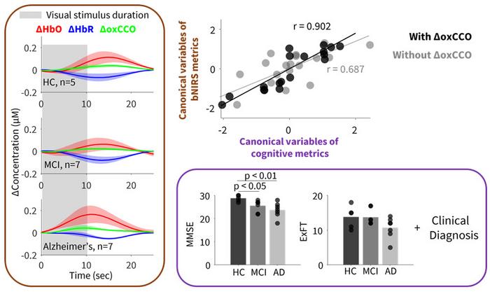A noninvasive neuromonitoring technology uses broadband near-infrared spectroscopy to measure concentrations of oxidized cytochrome c oxidase (oxCCO), a metabolic mitochondrial enzyme linked to Alzheimer’s disease.