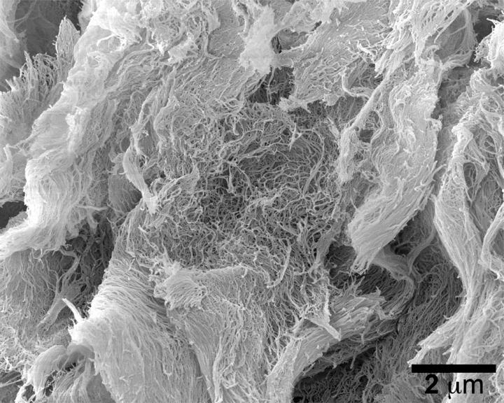 Hydrogel