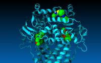 Compounding Hope in Battle against Cancer