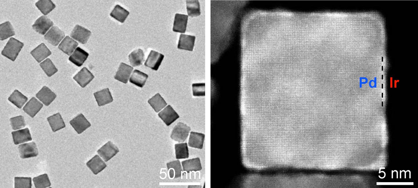 Peroxidase Mimic Makes PSA Tests More Accurate