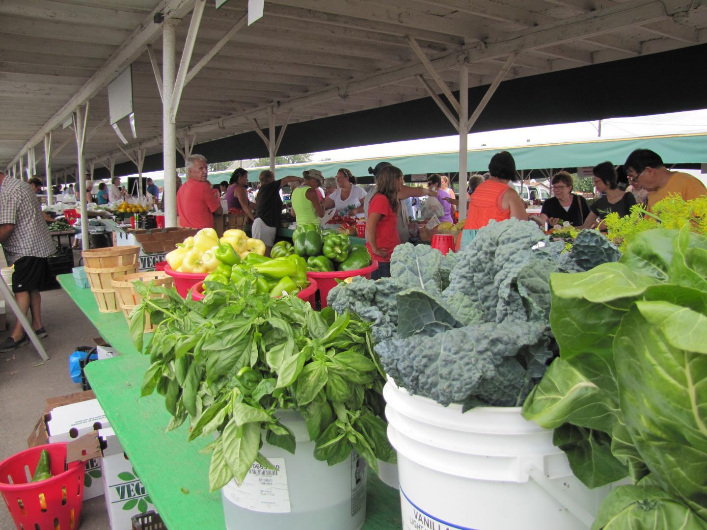 Leafy Produce
