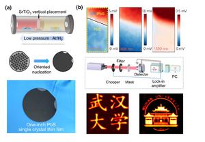 Room-temperature infrared imaging with a single-crystal PbS sensor