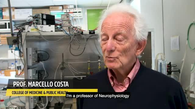 Cracking the Colon Code - New Light Shed on Gut Function