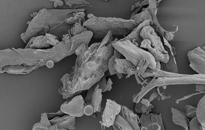 House Dust