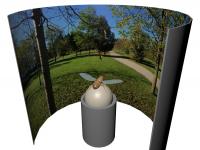 Virtual Reality Fly