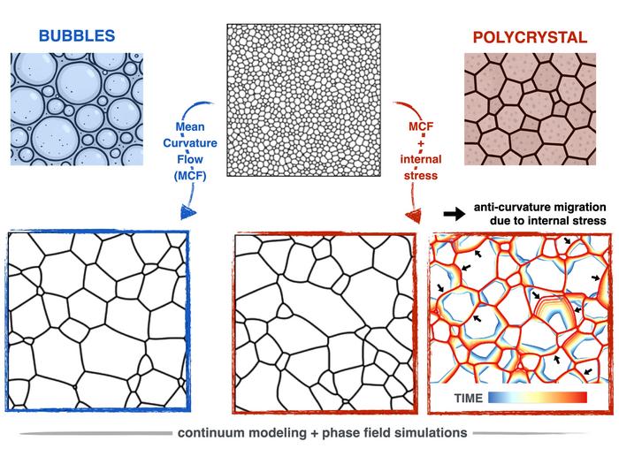 microstructure evolution