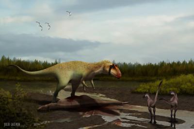 <i>Siats</i> in Habitat