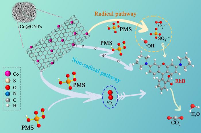 PMS activation mechanism by Co@CNTs-800 for RhB degradation