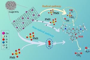 PMS activation mechanism by Co@CNTs-800 for RhB degradation