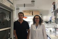 Jose Manuel Dominguez Vera and Ana Gonzalez, University of Granada
