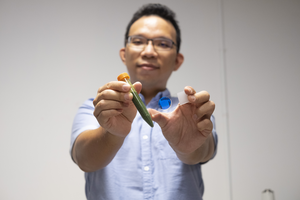 NTU Singapore scientists discover method to boost energy generation from microalgae