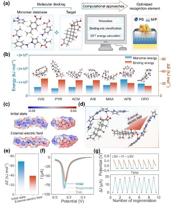 DFT guides the optimization of cortisol MIP