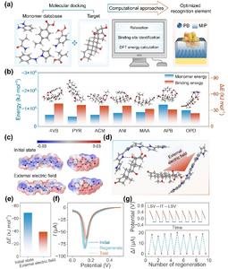 DFT guides the optimization of cortisol MIP