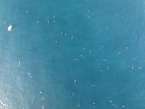 Credit Andy Danylchuk 2