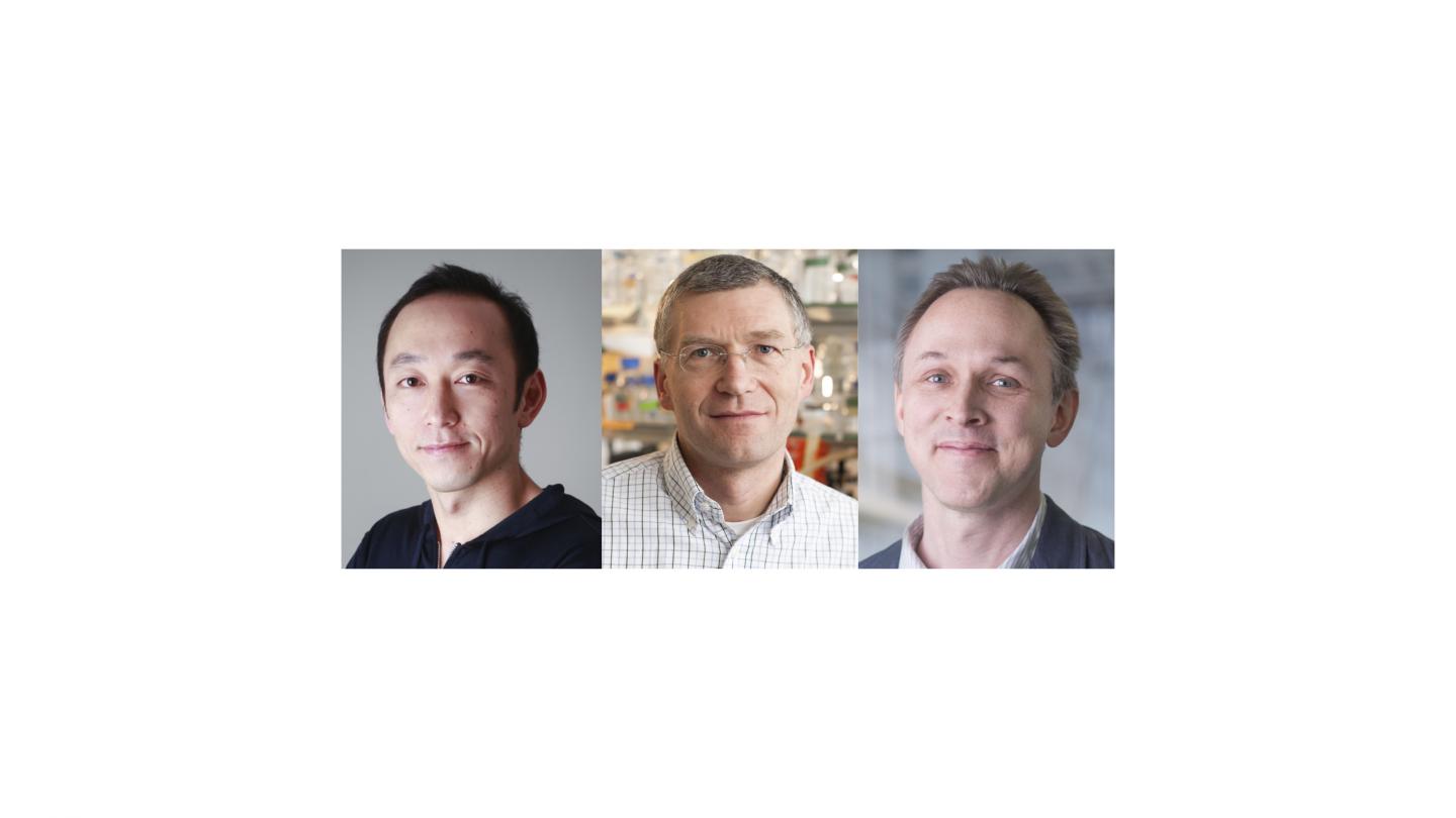 Principal Investigators