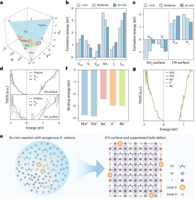 Computationally Guided Synthesis Creates High-Efficiency Tin Halide Perovskite Nanocrystals