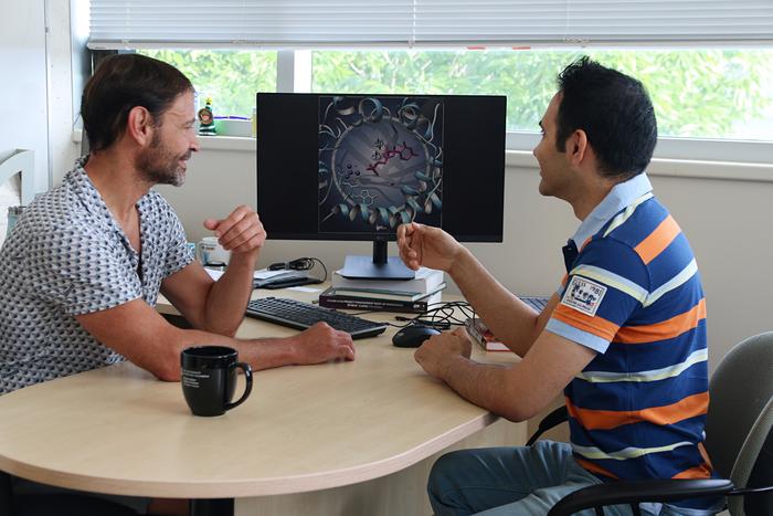 Gino DiLabio and Hossein Khalilian