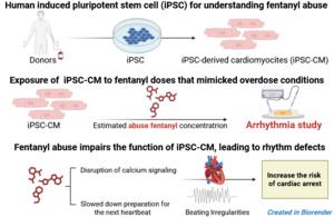 Fentanyl Abuse Impairs Function of iPSC-CMs