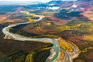 Alaska's Boreal Forests