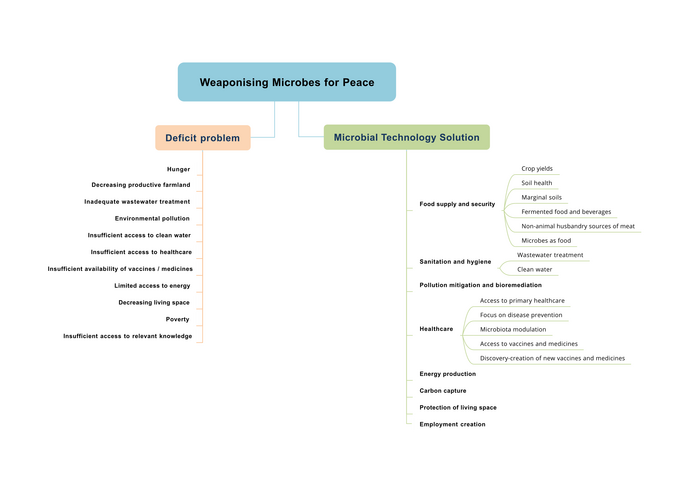 Graphical abstract